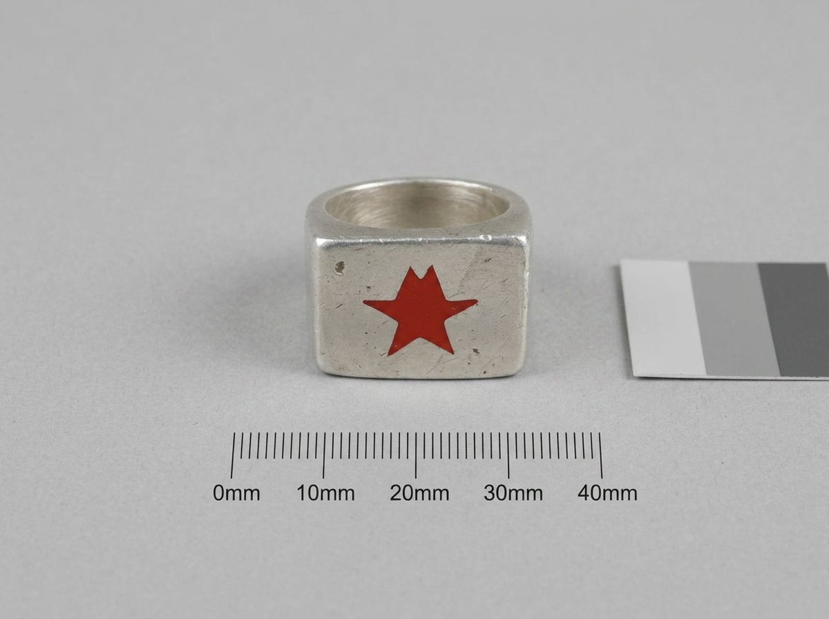 Archivfassung von Objekt 01: silberfarbener Ring mit rotem Stern auf hellgrauer Karte neben einem Millimetermaßstab.